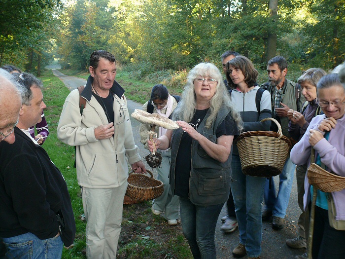 2011 10 02 Baies et champignons 21